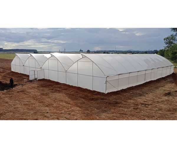 greenhouse